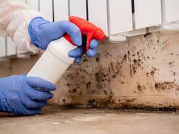 Best Asbestos and Lead Testing During Mold Inspection in Los Altos, CA